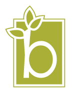 Branch to Box - Icon